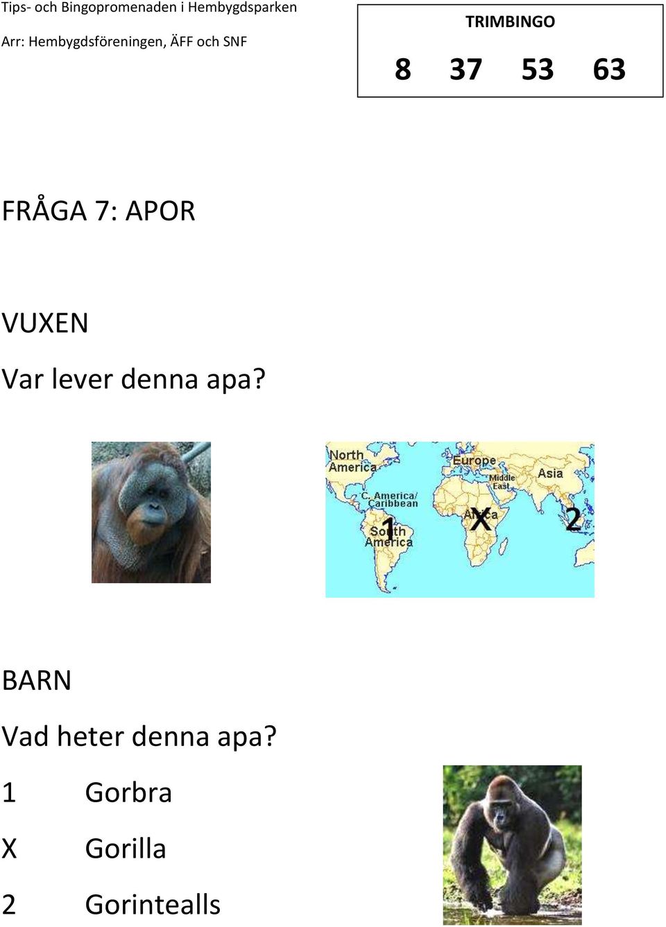 Vad heter denna apa?