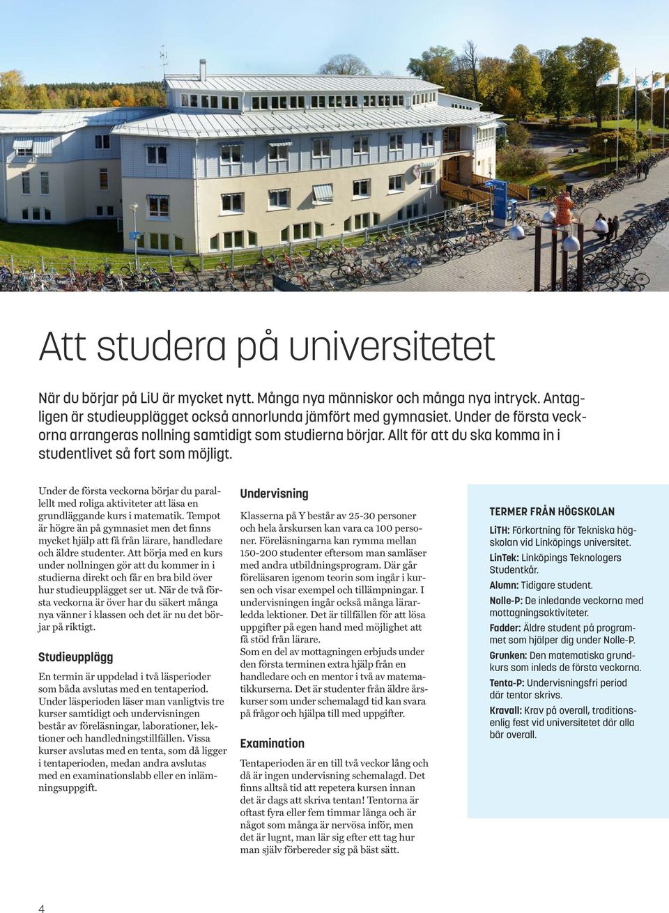 Under de första veckorna börjar du parallellt med roliga aktiviteter att läsa en grundläggande kurs i matematik.