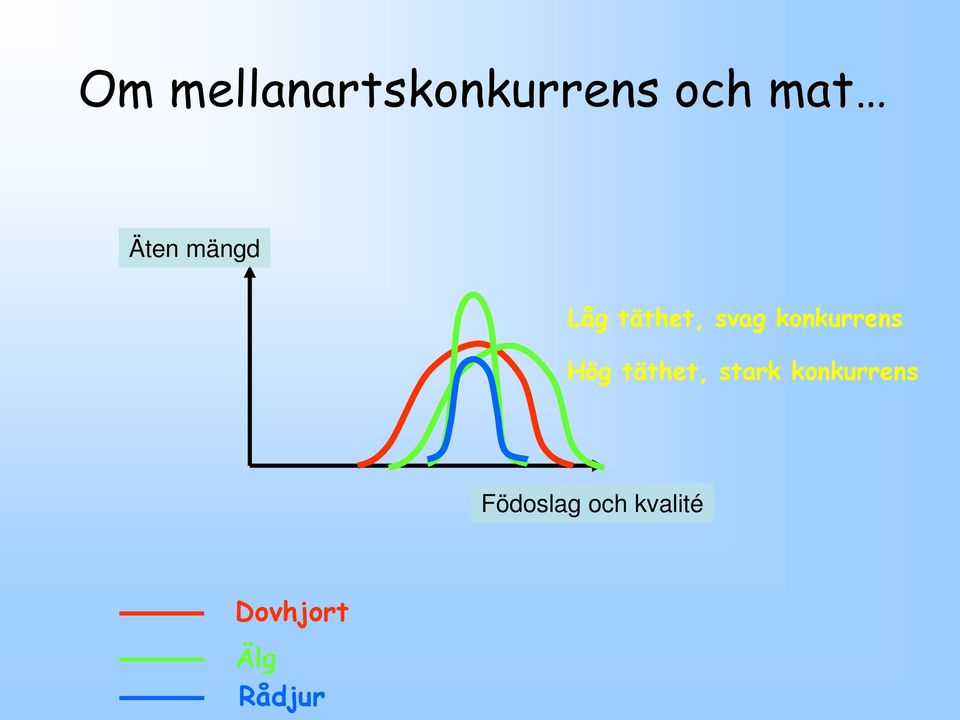 konkurrens Hög täthet, stark