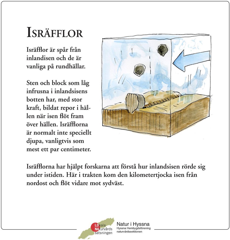 fram över hällen. Isräfflorna är normalt inte speciellt djupa, vanligtvis som mest ett par centimeter.