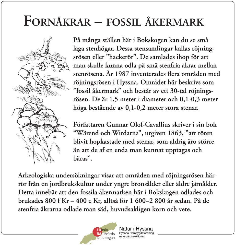 Området här beskrivs som fossil åkermark och består av ett 30-tal röjningsrösen. De är 1,5 meter i diameter och 0,1-0,3 meter höga bestående av 0,1-0,2 meter stora stenar.