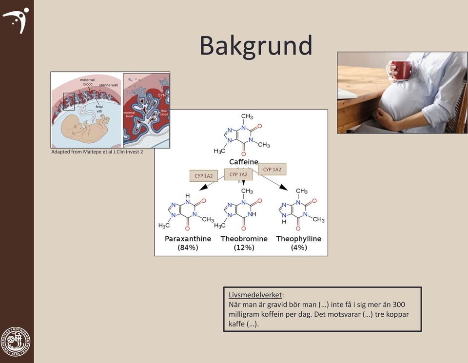 Livsmedelverket: När man är gravid bör man ( ) inte