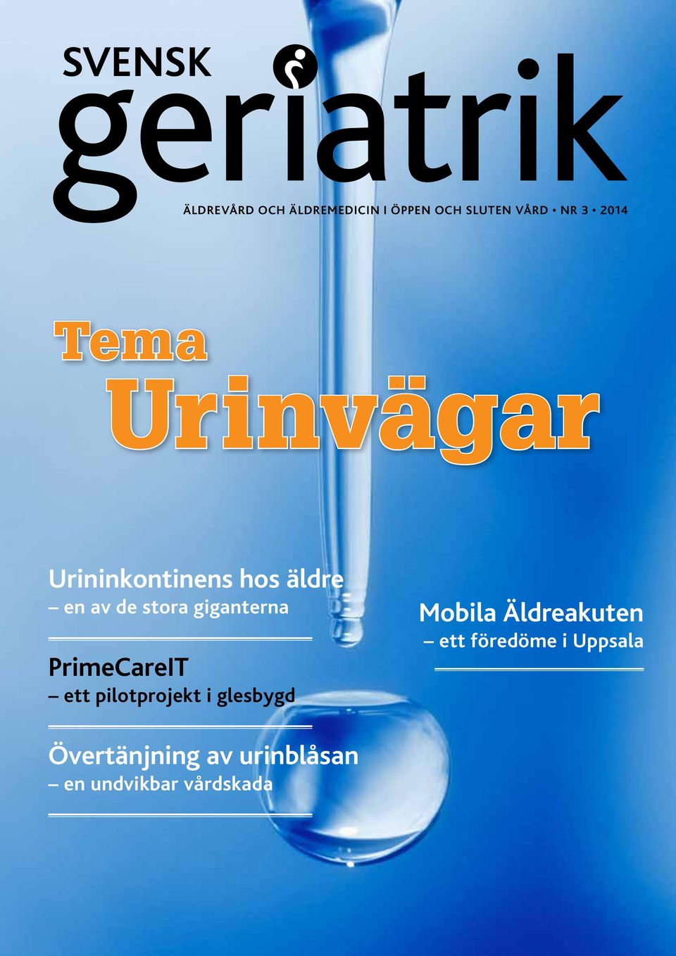 giganterna PrimeCareIT ett pilotprojekt i glesbygd Mobila