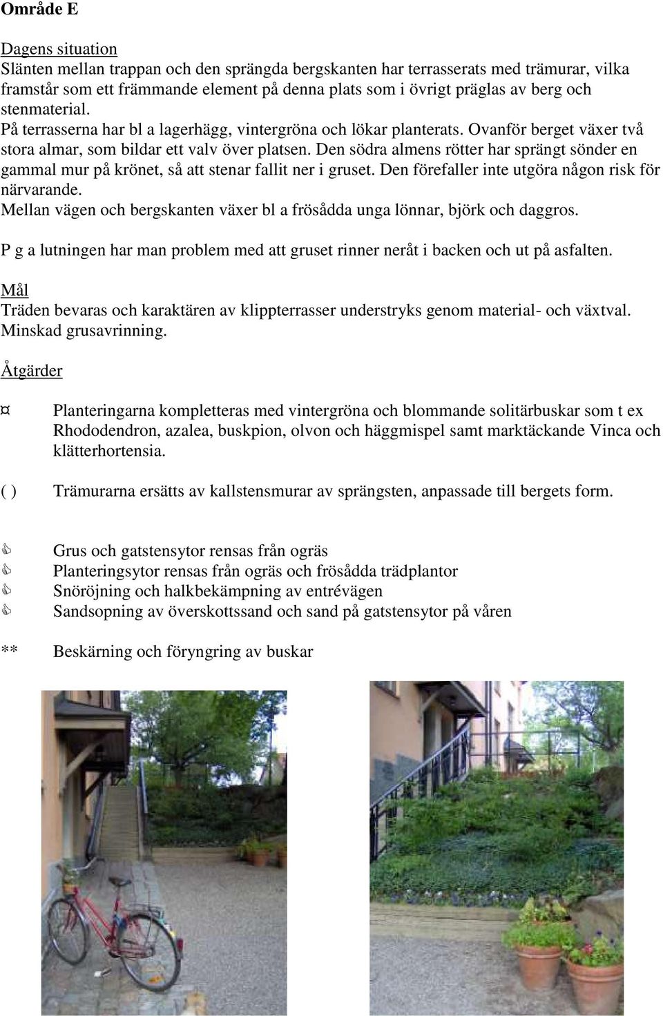 Den södra almens rötter har sprängt sönder en gammal mur på krönet, så att stenar fallit ner i gruset. Den förefaller inte utgöra någon risk för närvarande.