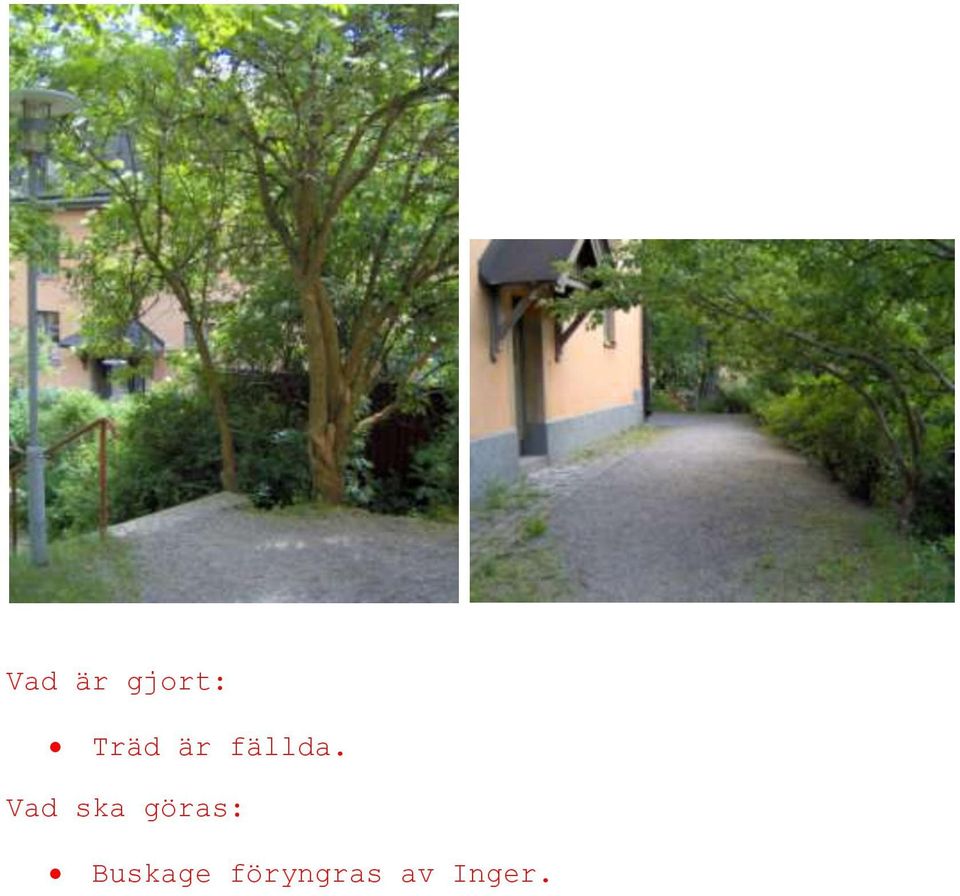 Vad ska göras: