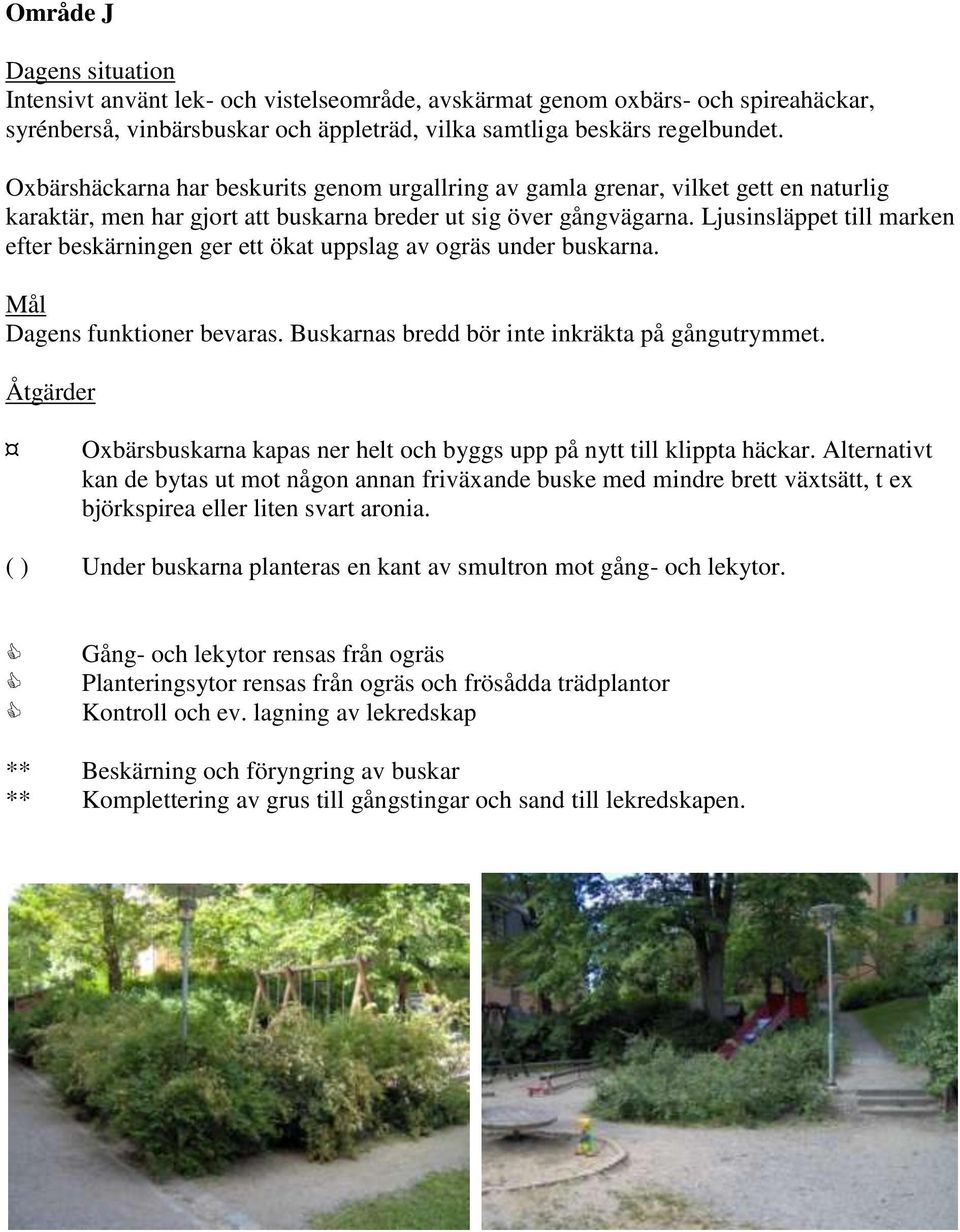 Ljusinsläppet till marken efter beskärningen ger ett ökat uppslag av ogräs under buskarna. Dagens funktioner bevaras. Buskarnas bredd bör inte inkräkta på gångutrymmet.