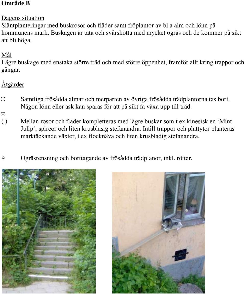 Samtliga frösådda almar och merparten av övriga frösådda trädplantorna tas bort. Någon lönn eller ask kan sparas för att på sikt få växa upp till träd.