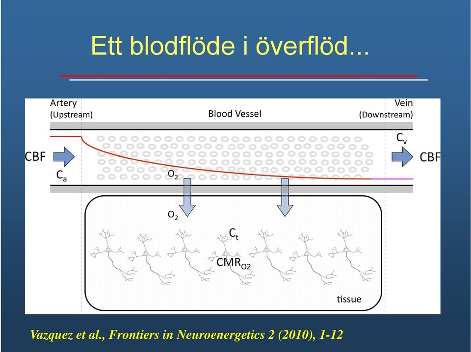 .. Vazquez et al.