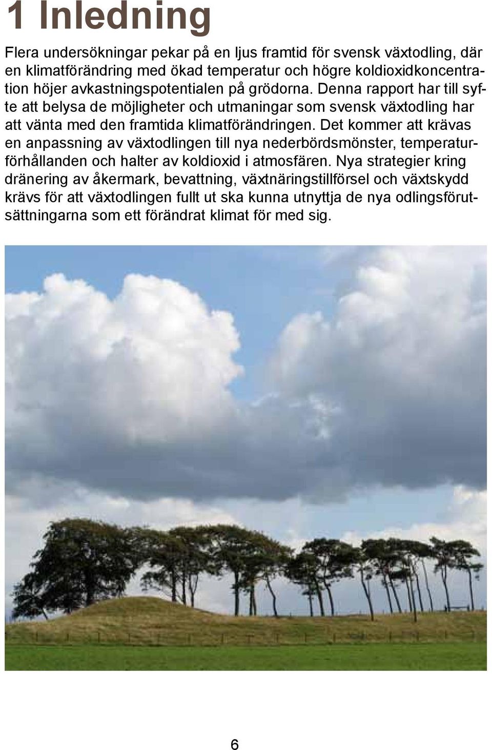 Denna rapport har till syfte att belysa de möjligheter och utmaningar som svensk växtodling har att vänta med den framtida klimatförändringen.