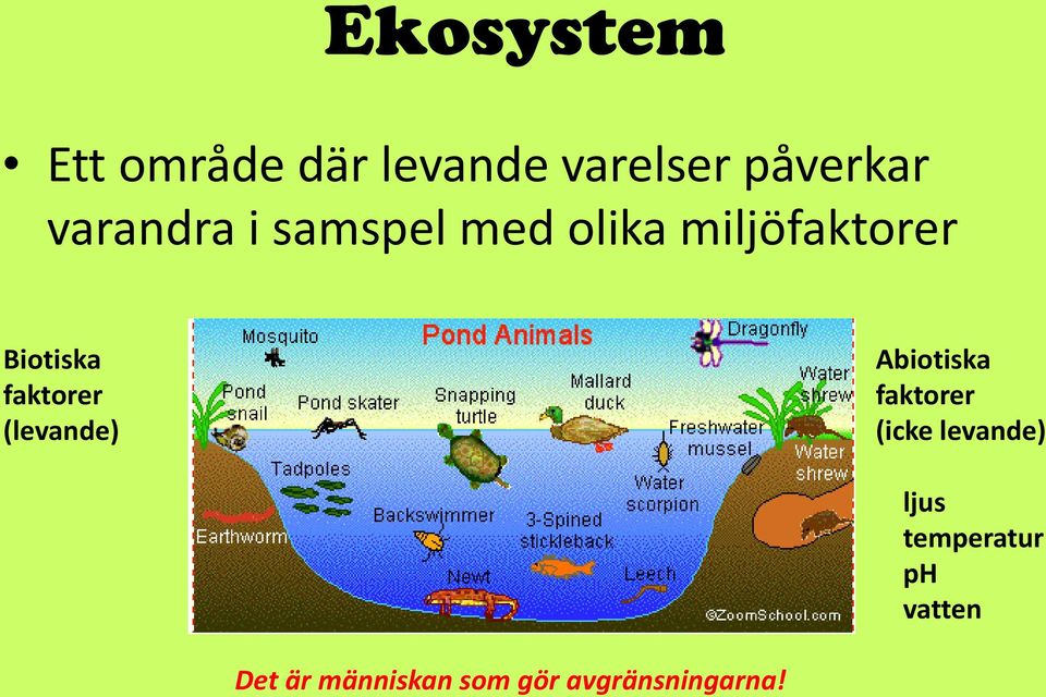 faktorer (levande) Abiotiska faktorer (icke levande)