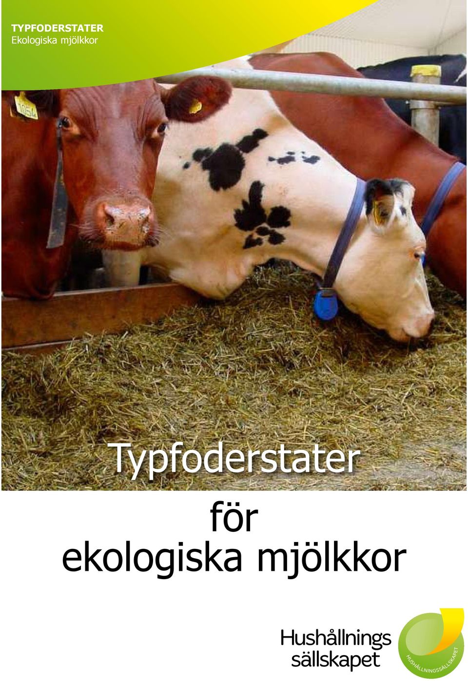 mjölkkor