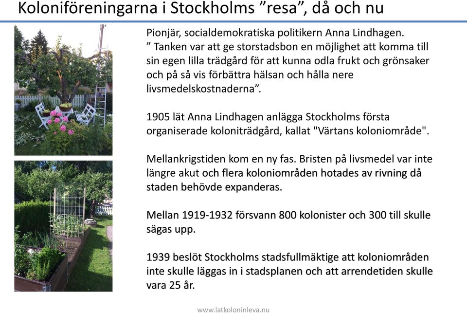 1905 lät Anna Lindhagen anlägga Stockholms första organiserade koloniträdgård, kallat "Värtans koloniområde". Mellankrigstiden kom en ny fas.