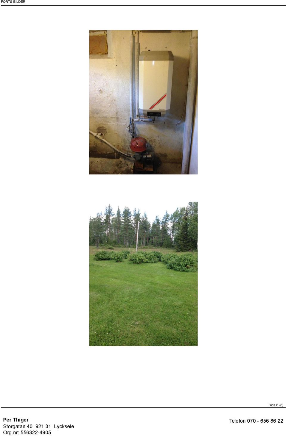 921 31 Lycksele Org.