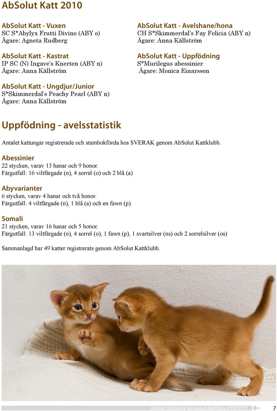 Pearl (ABY n) Ägare: Anna Källström Uppfödning - avelsstatistik Antalet kattungar registrerade och stambokförda hos SVERAK genom AbSolut Kattklubb. Abessinier 22 stycken, varav 13 hanar och 9 honor.