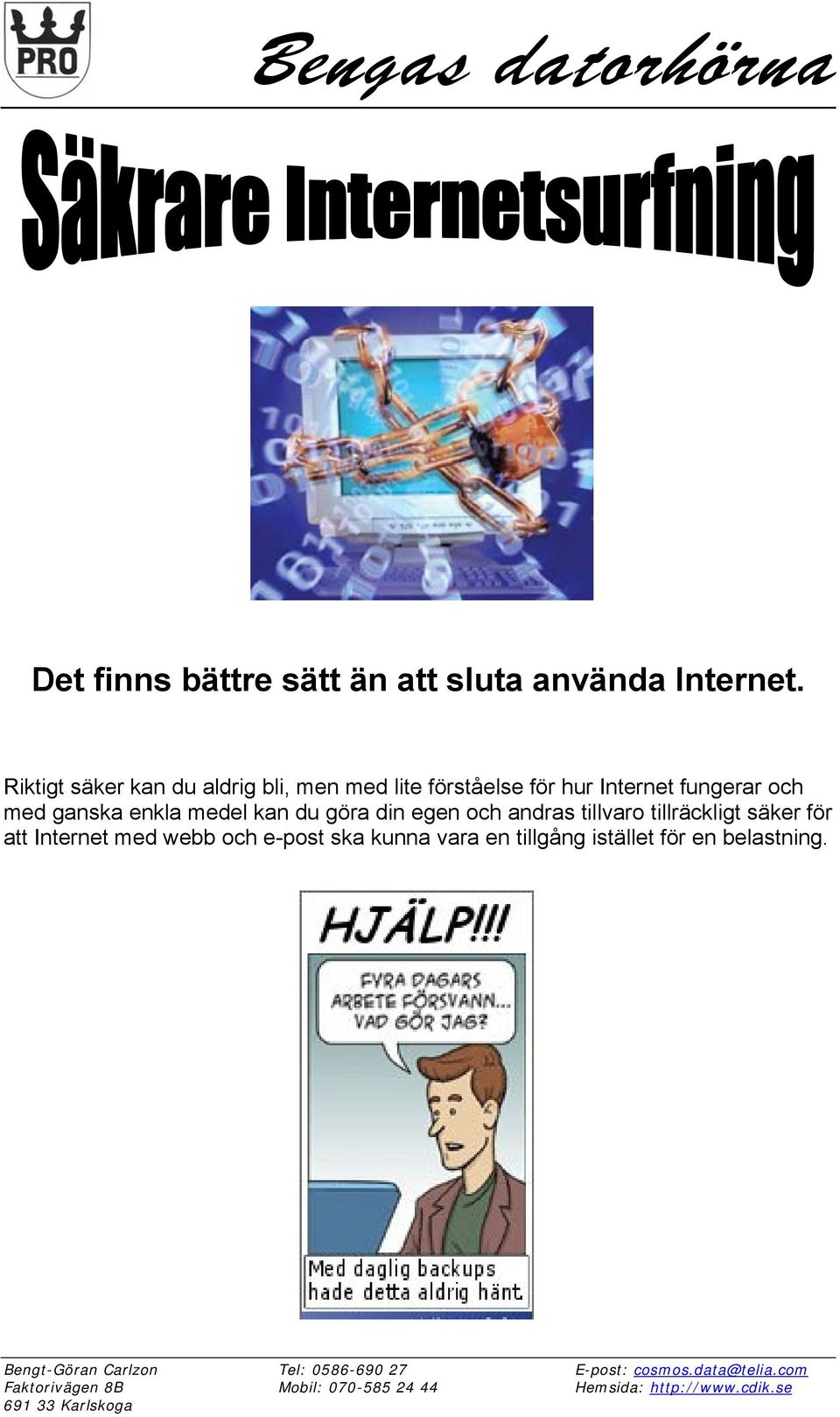 göra din egen och andras tillvaro tillräckligt säker för att Internet med webb och e-post ska kunna vara en tillgång