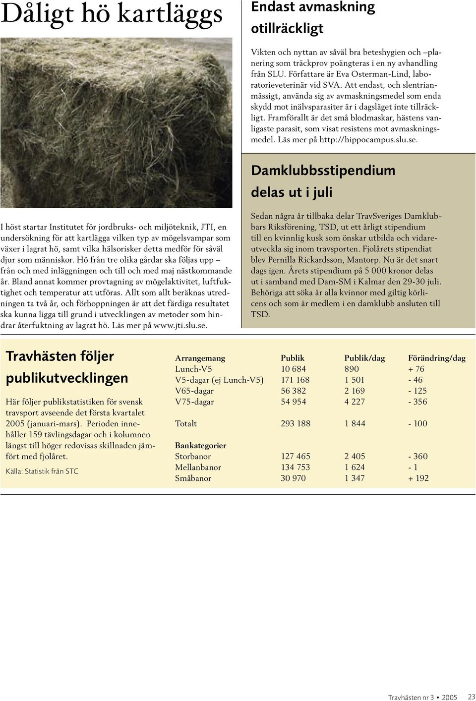 Framförallt är det små blodmaskar, hästens vanligaste parasit, som visat resistens mot avmaskningsmedel. Läs mer på http://hippocampus.slu.se.