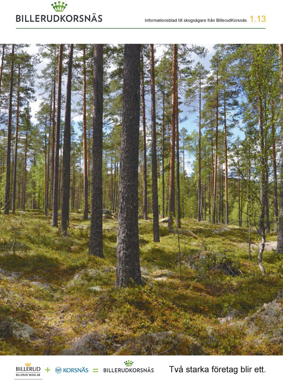 Det ökar lönsamheten för dig som skogsägare och tryggar försörjningen till vår biobränslepanna vid Karlsborgs pappersbruk. Dags att se över och vårda din skog för framtiden?