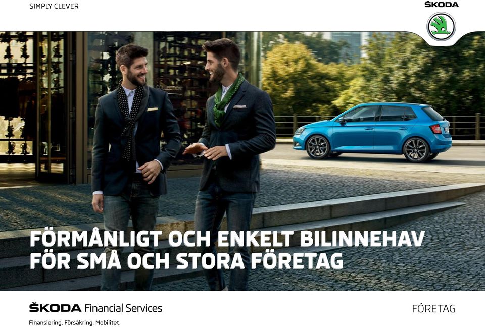 STORA FÖRETAG Finansiering.