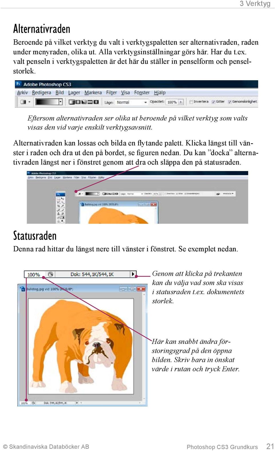 Eftersom alternativraden ser olika ut beroende på vilket verktyg som valts visas den vid varje enskilt verktygsavsnitt. Alternativraden kan lossas och bilda en flytande palett.