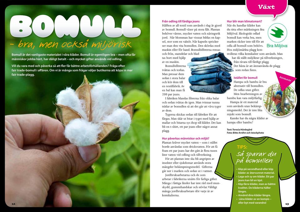 Från odling till färdiga jeans Hälften av all textil som används i dag är gjord av bomull. Bomull växer på stora fält. Plantan behöver värme, mycket vatten och näringsrik jord.