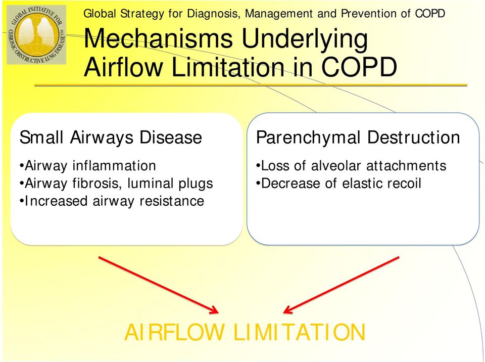 inflammation Airway fibrosis, luminal plugs Increased airway resistance