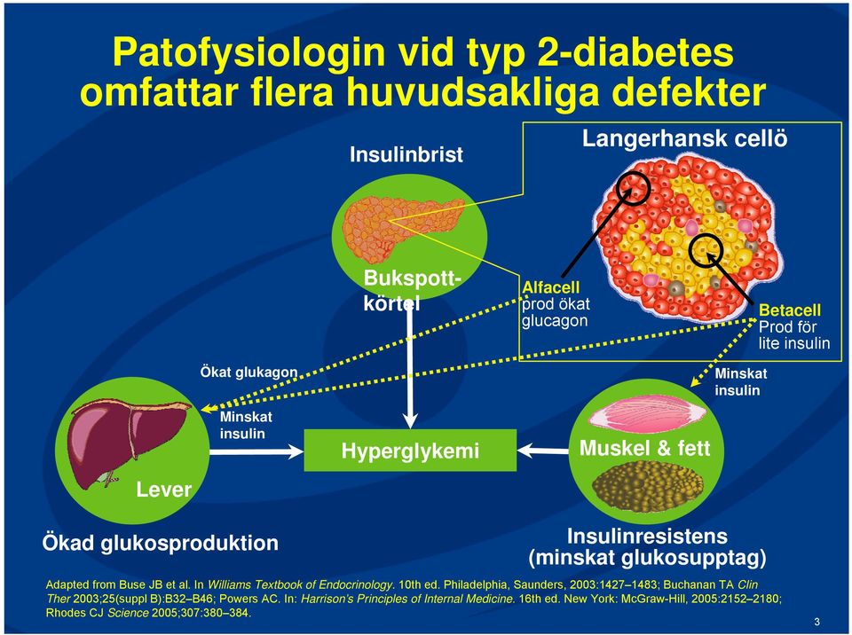 glukosupptag) Adapted from Buse JB et al. In Williams Textbook of Endocrinology. 10th ed.