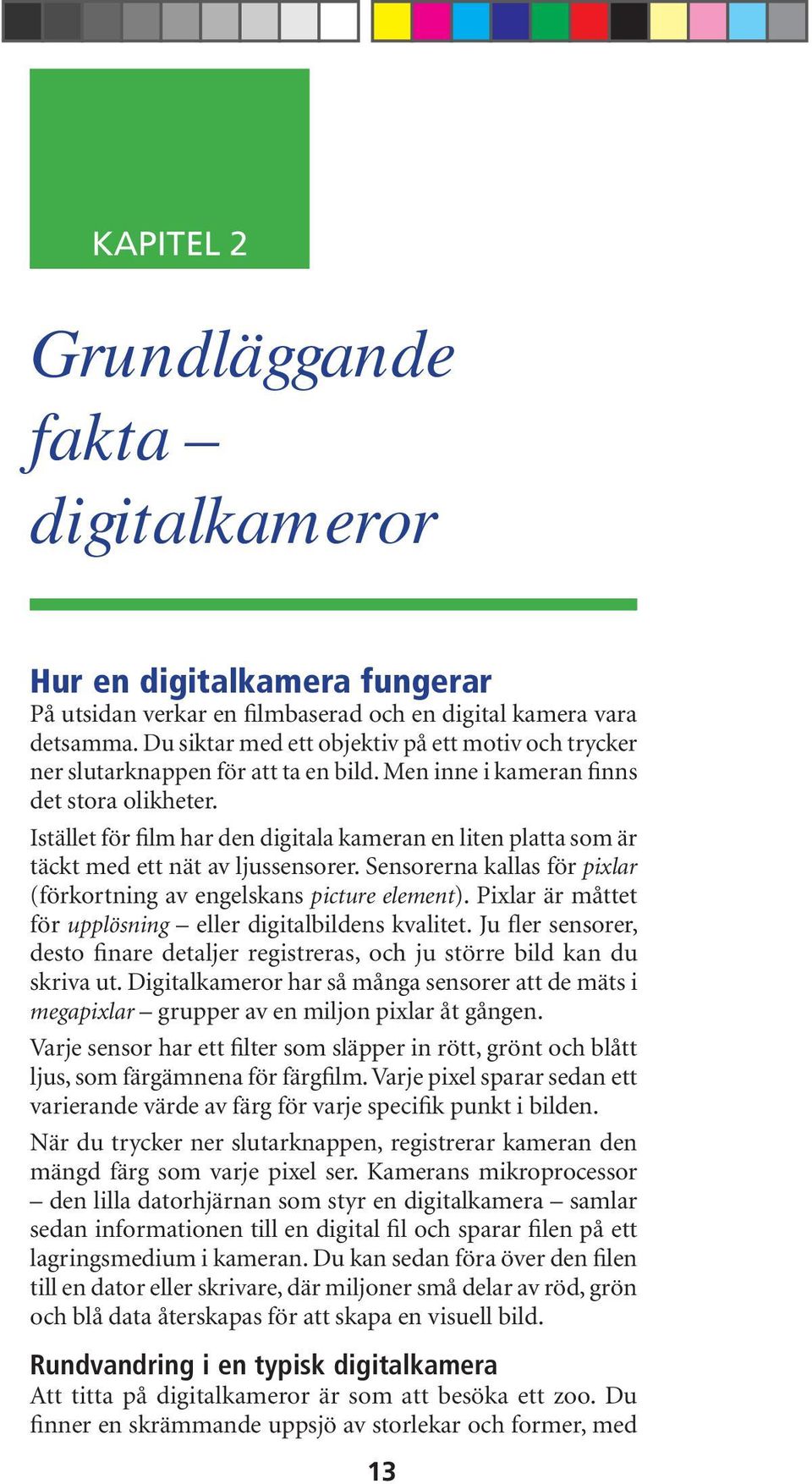 Istället för film har den digitala kameran en liten platta som är täckt med ett nät av ljussensorer. Sensorerna kallas för pixlar (förkortning av engelskans picture element).