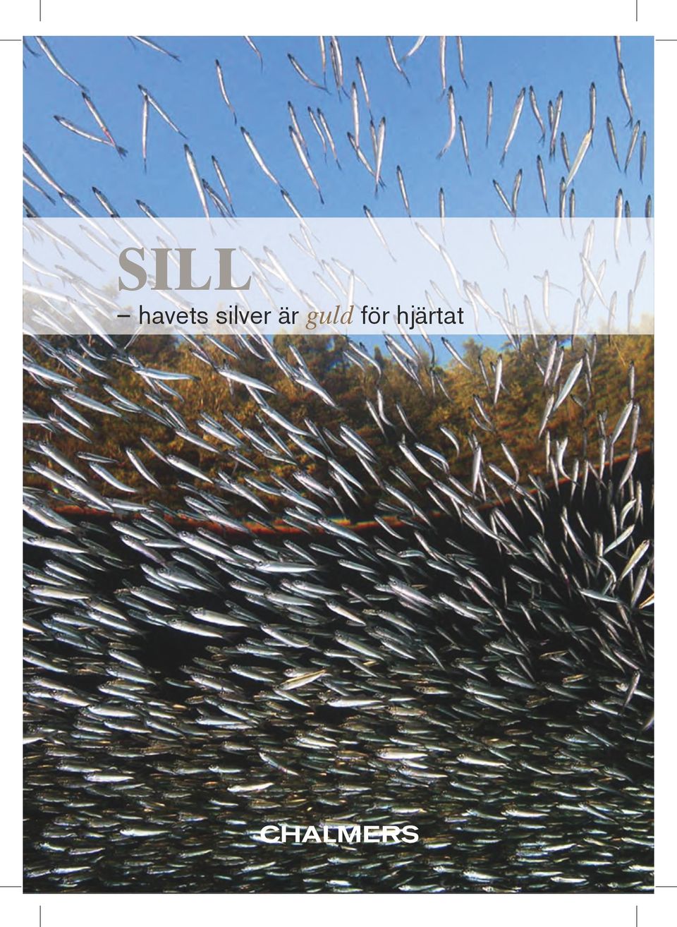 silver är