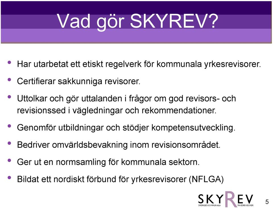 Uttolkar och gör uttalanden i frågor om god revisors- och revisionssed i vägledningar och rekommendationer.