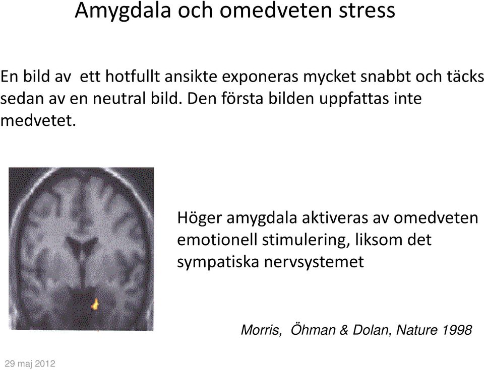 Den första bilden uppfattas inte medvetet.