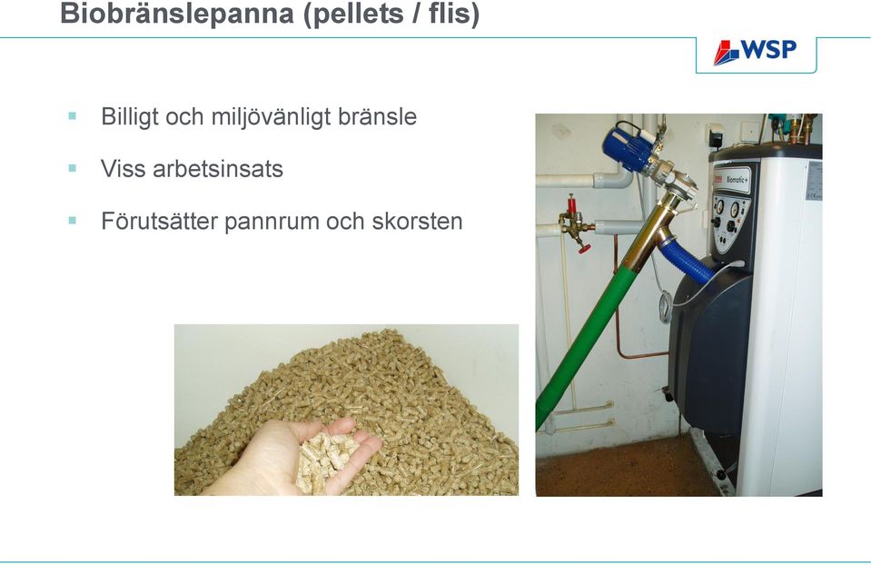 miljövänligt bränsle Viss