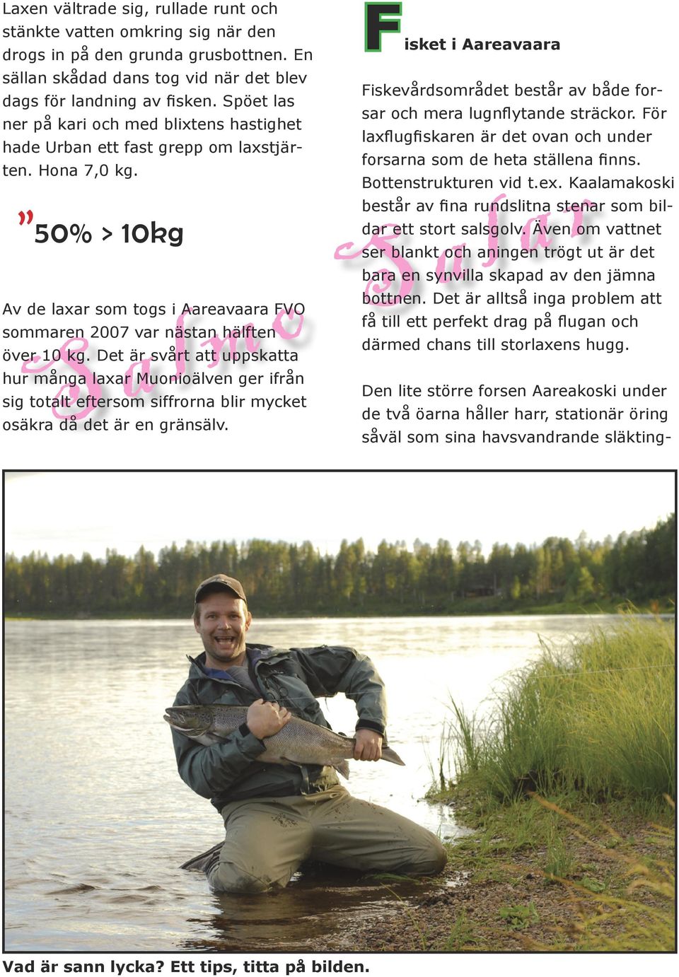50% > 10kg Av de laxar som togs i Aareavaara FVO sommaren 2007 var nästan hälften Fisket i Aareavaara Fiskevårdsområdet består av både forsar och mera lugnflytande sträckor.