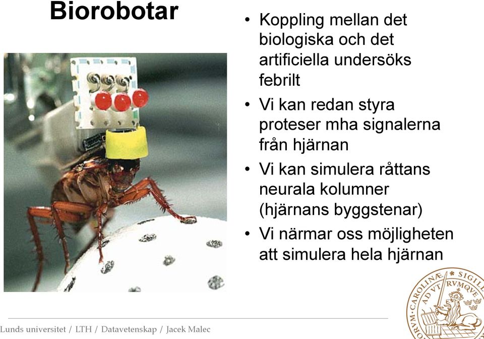 från hjärnan Vi kan simulera råttans neurala kolumner