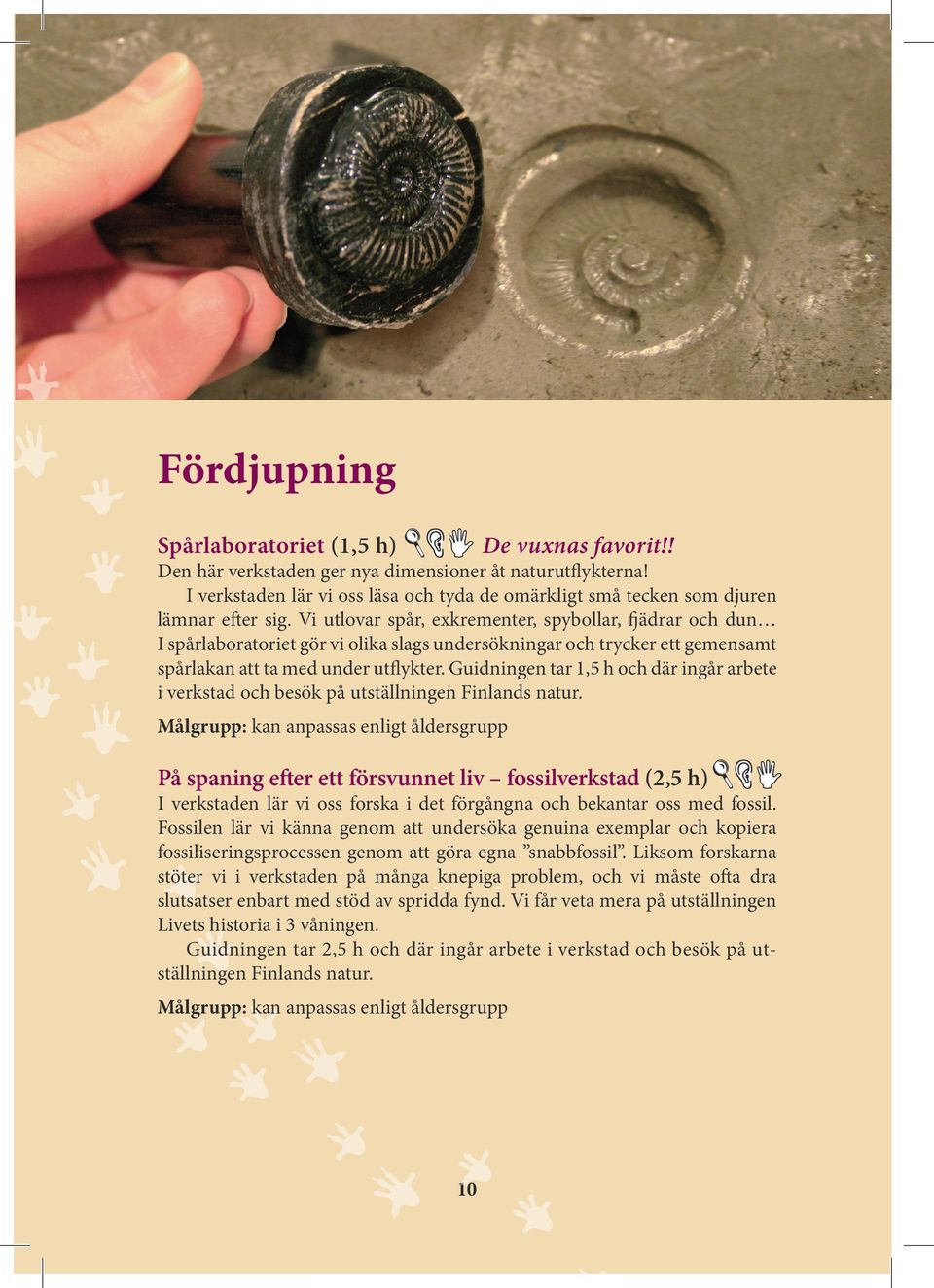 Vi utlovar spår, exkrementer, spybollar, fjädrar och dun I spårlaboratoriet gör vi olika slags undersökningar och trycker ett gemensamt spårlakan att ta med under utflykter.