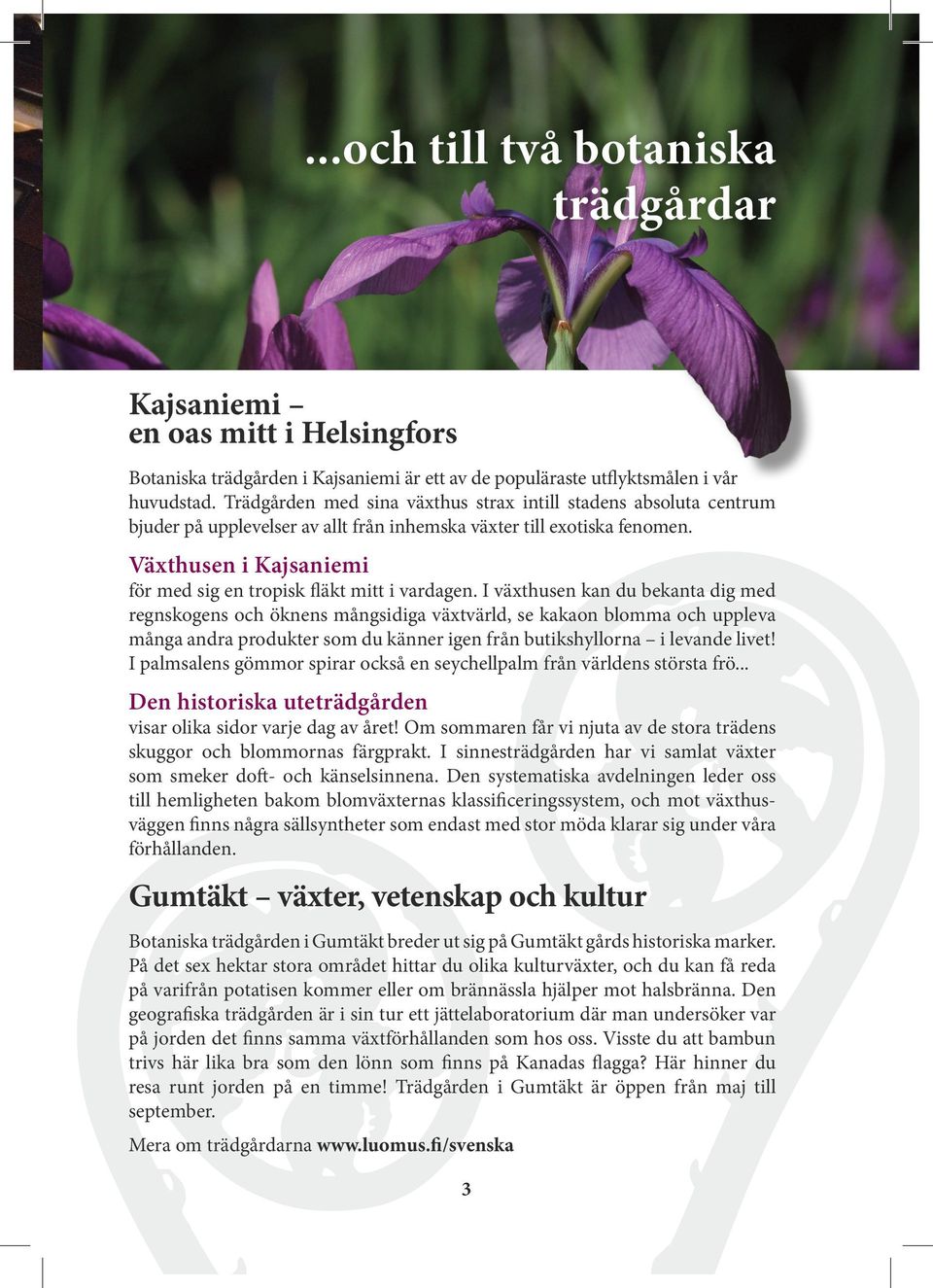 Växthusen i Kajsaniemi för med sig en tropisk fläkt mitt i vardagen.