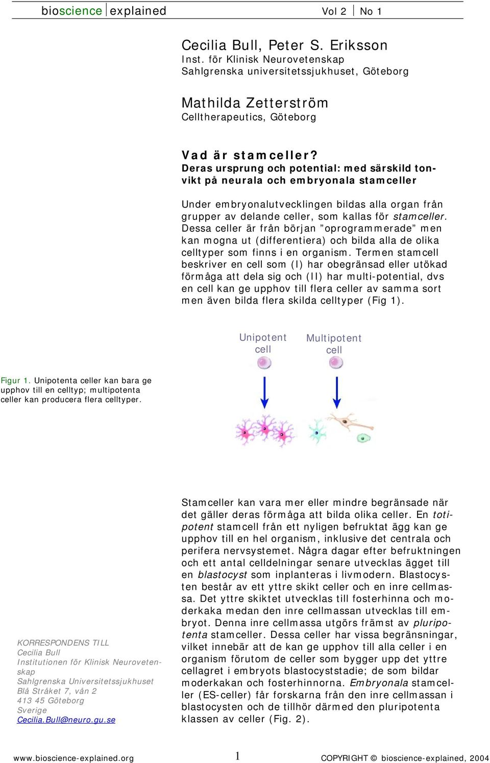 Dessa celler är från början oprogrammerade men kan mogna ut (differentiera) och bilda alla de olika celltyper som finns i en organism.