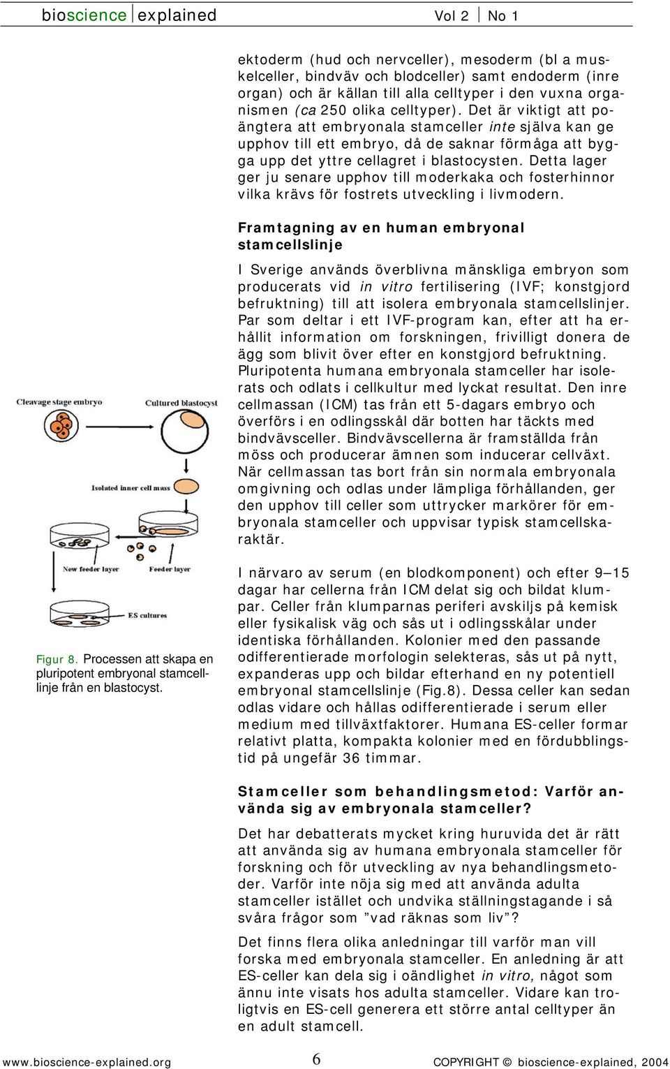 Detta lager ger ju senare upphov till moderkaka och fosterhinnor vilka krävs för fostrets utveckling i livmodern.