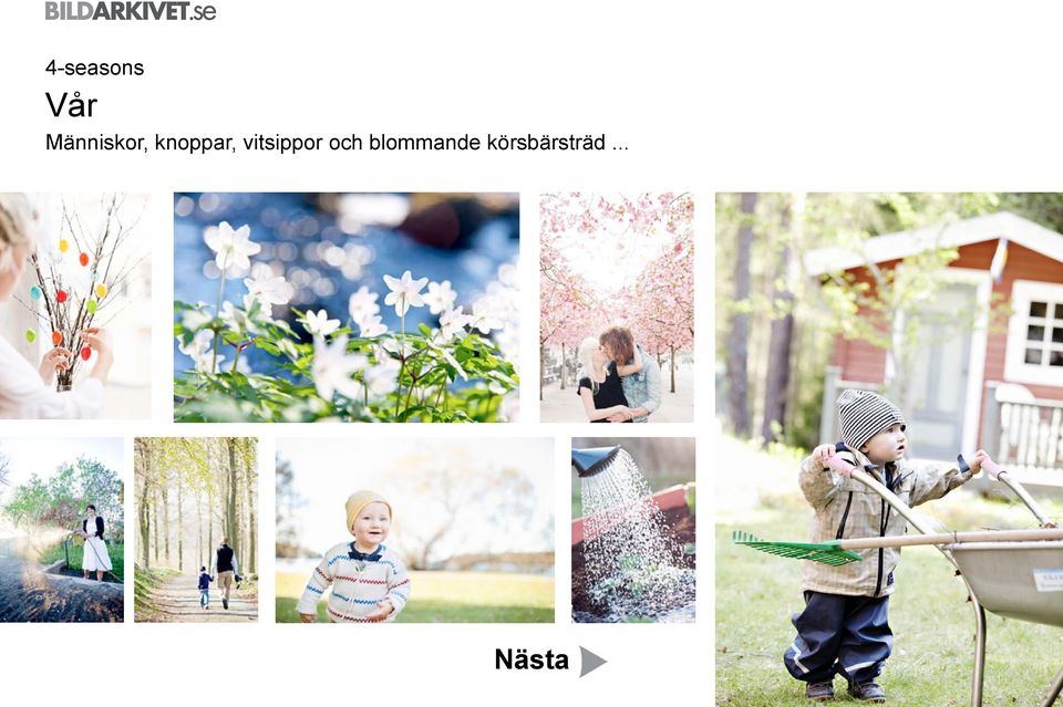 knoppar, vitsippor