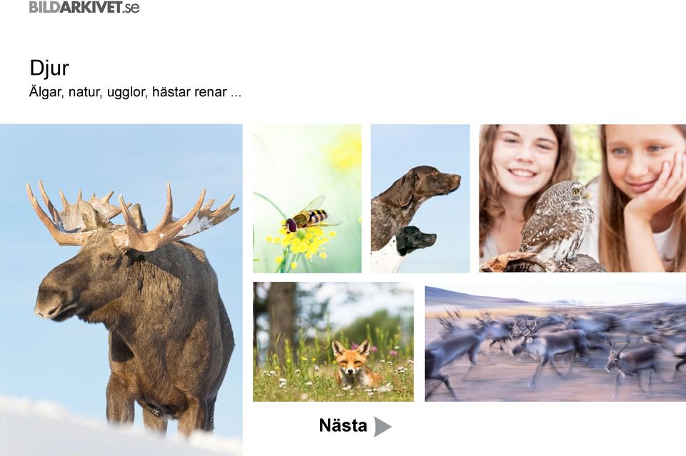 natur,