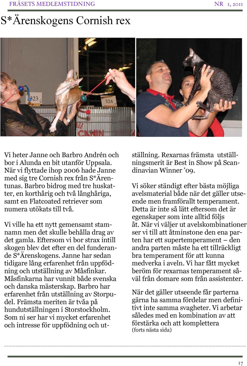 Vi ville ha ett nytt gemensamt stamnamn men det skulle behålla drag av det gamla. Eftersom vi bor strax intill skogen blev det efter en del funderande S*Ärenskogens.