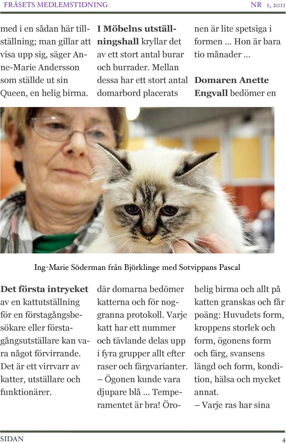 Varje katt har ett nummer och tävlande delas upp i fyra grupper allt efter raser och färgvarianter. Ögonen kunde vara djupare blå... Temperamentet är bra! Öronen är lite spetsiga i formen.