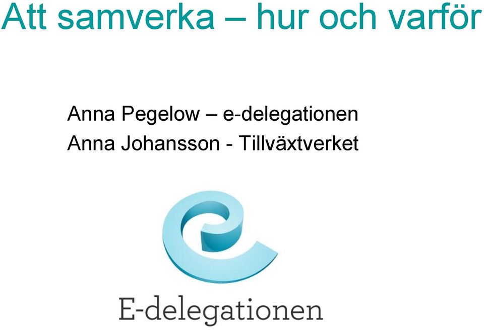 e-delegationen Anna