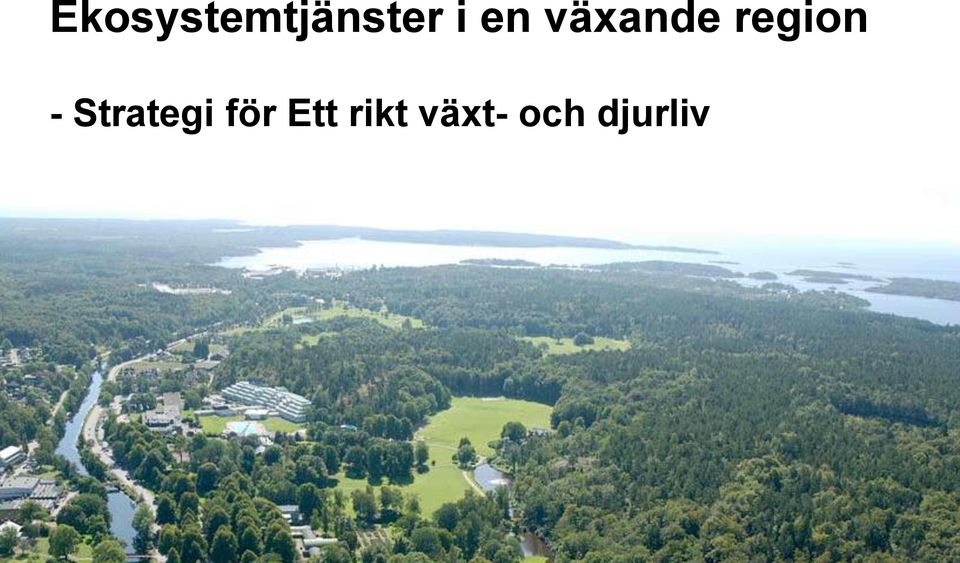 Strategi för Ett
