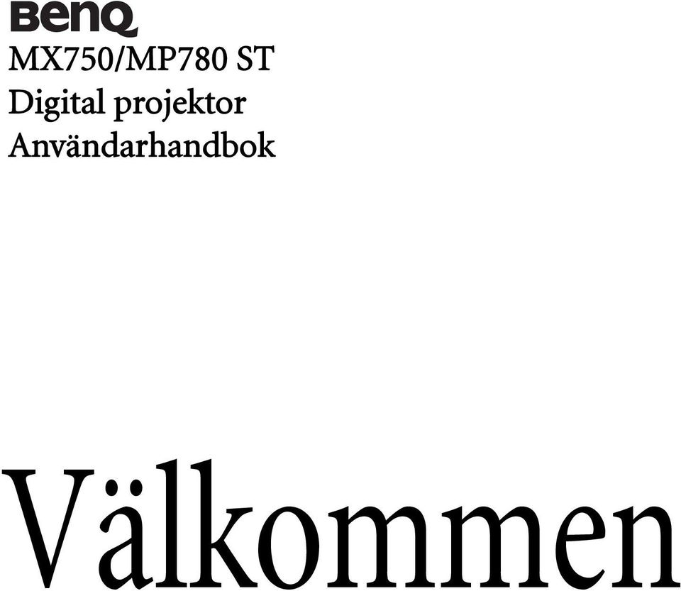 projektor