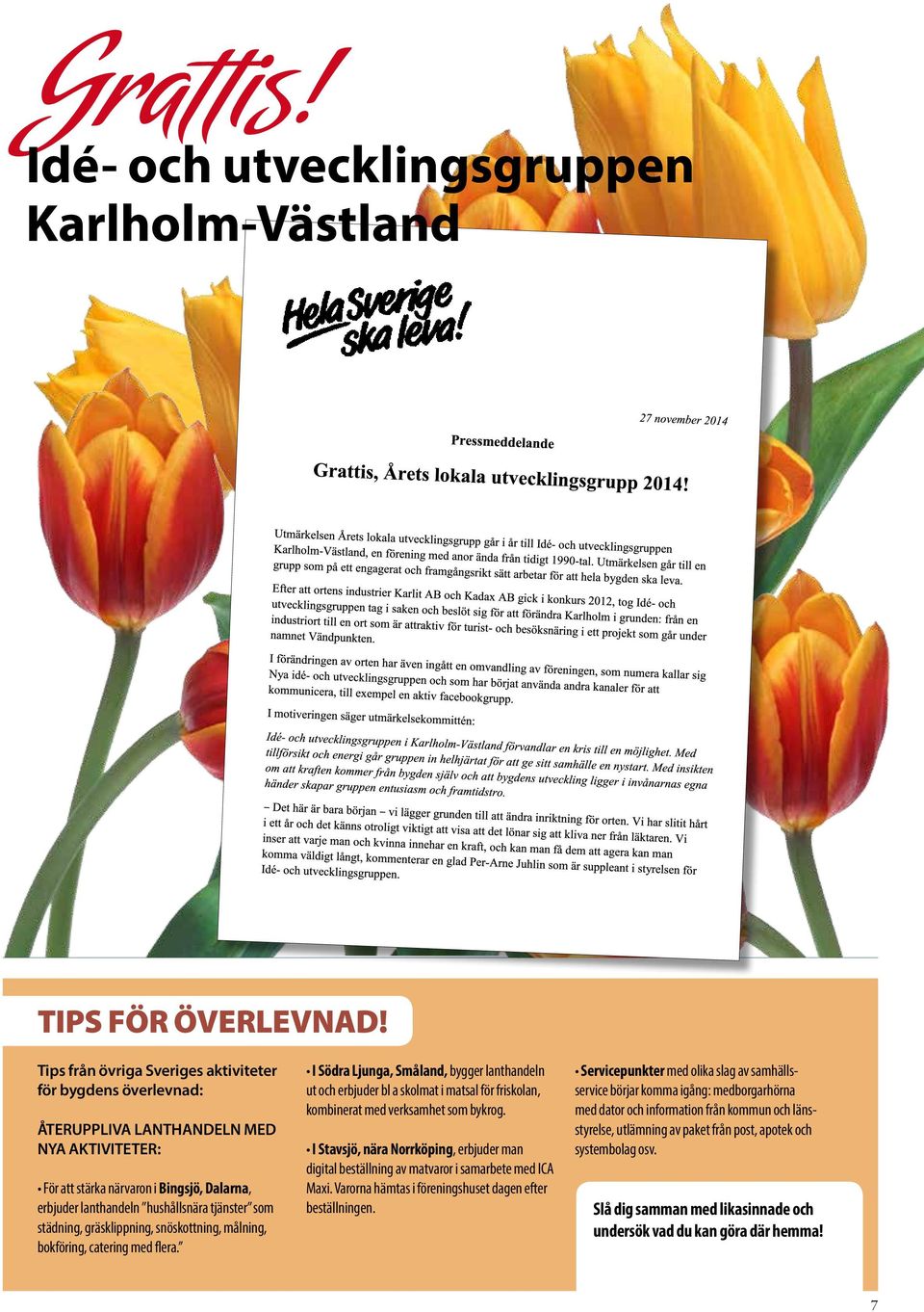 städning, gräsklippning, snöskottning, målning, bokföring, catering med flera.