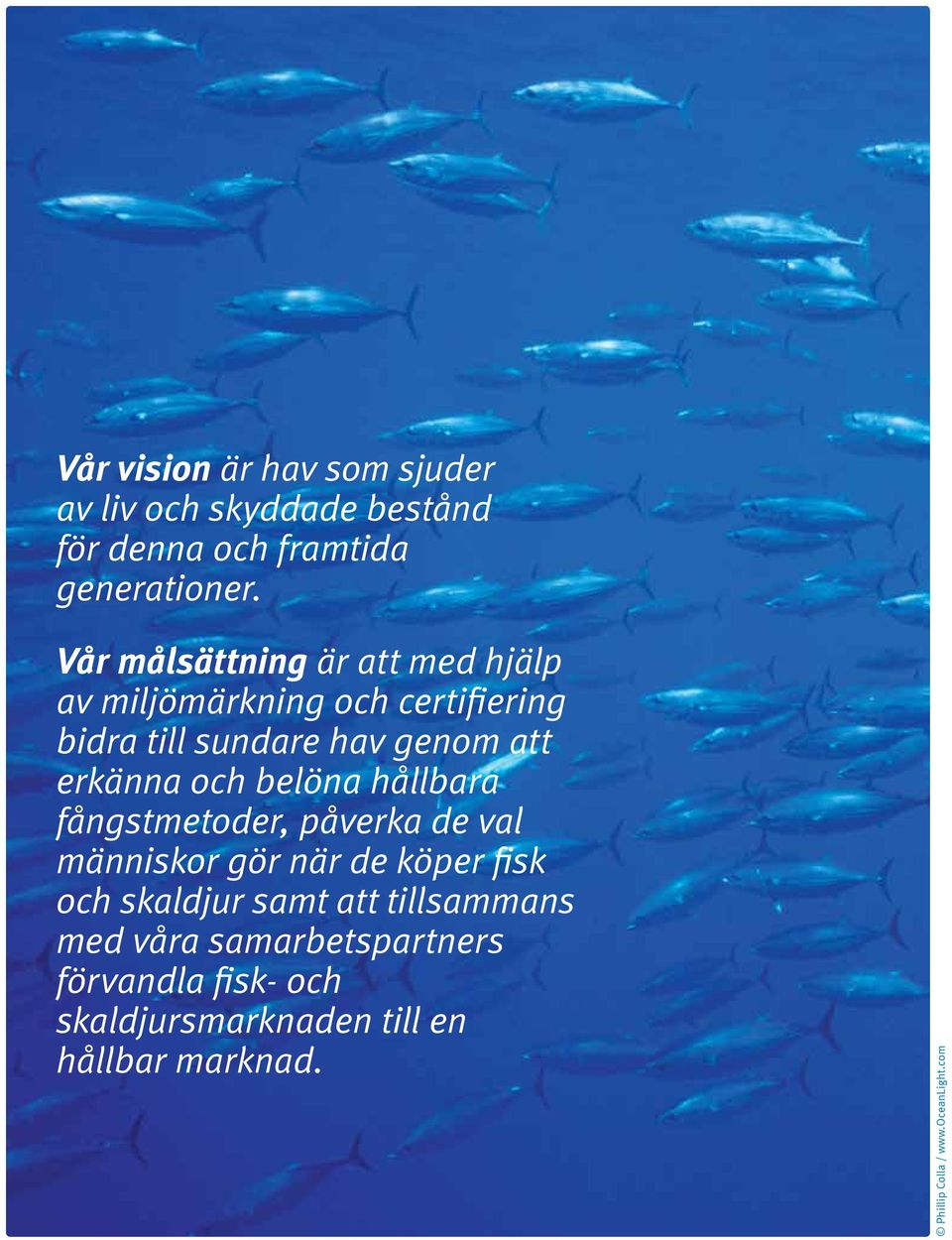 och belöna hållbara fångstmetoder, påverka de val människor gör när de köper fisk och skaldjur samt att