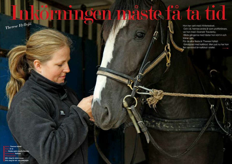 Båda gångerna med hästar hon kört in och tränar själv. För de allra flesta är Therese Hyllsjö förknippad med kallblod.