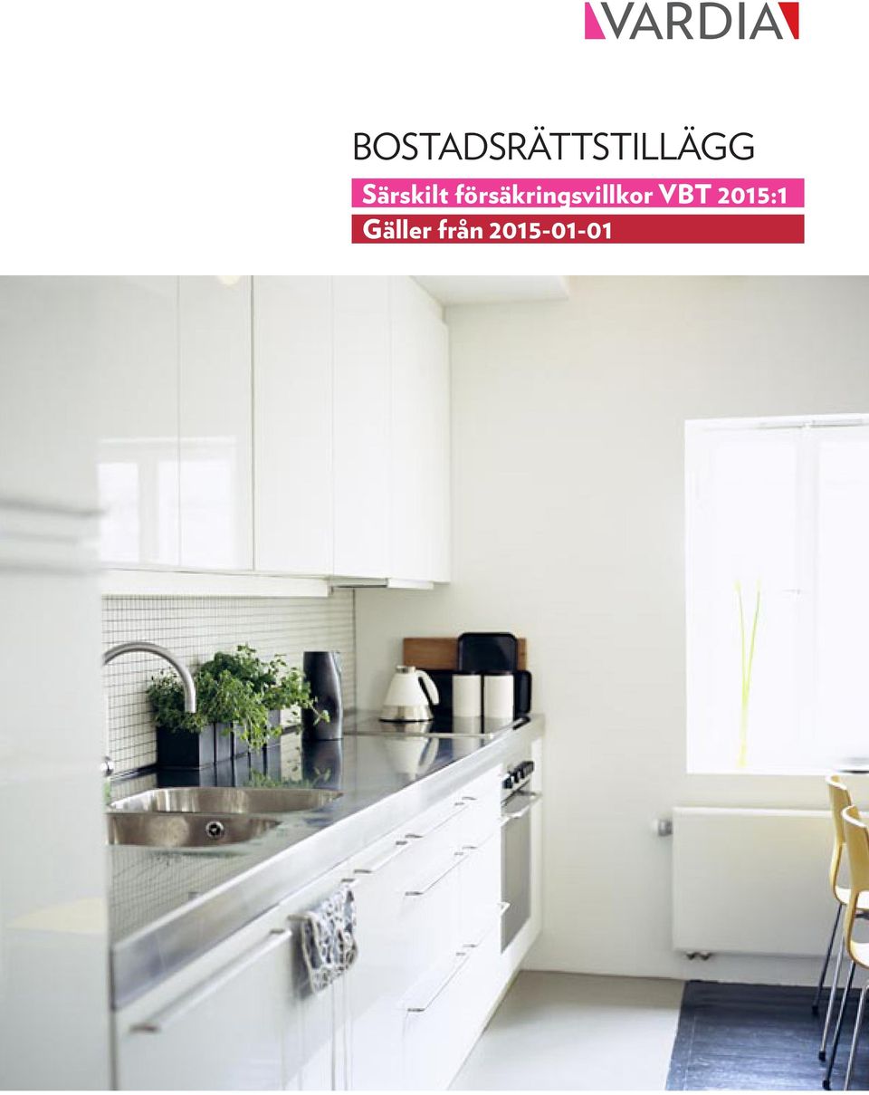 försäkringsvillkor