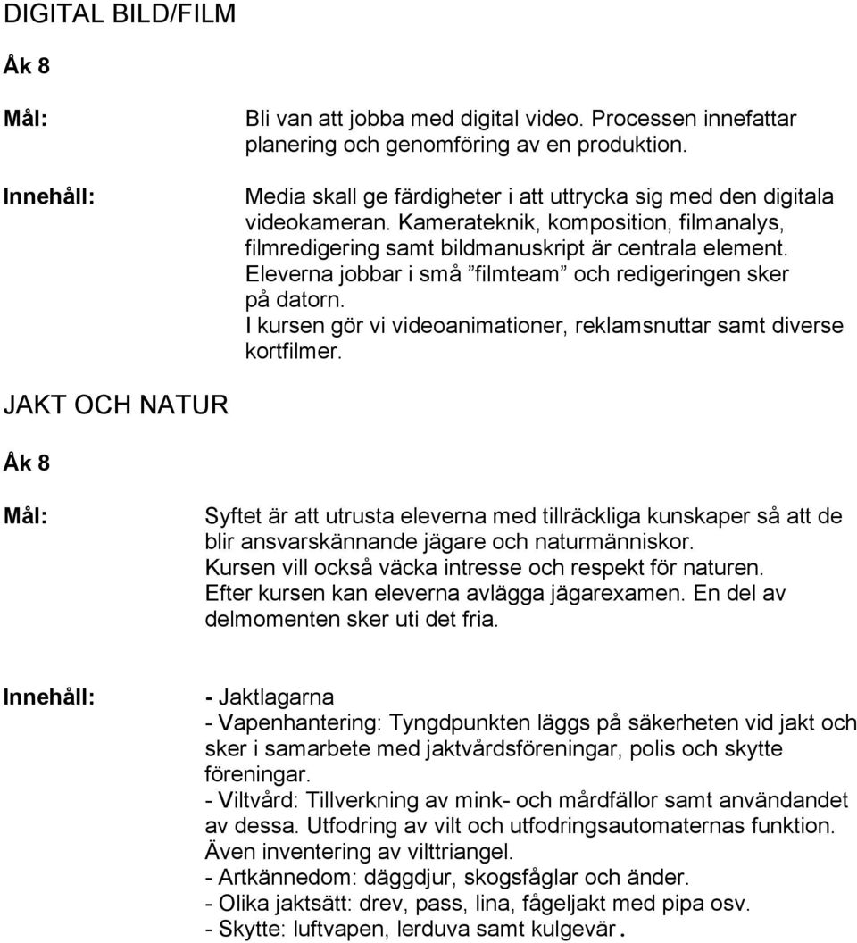 Eleverna jobbar i små filmteam och redigeringen sker på datorn. I kursen gör vi videoanimationer, reklamsnuttar samt diverse kortfilmer.