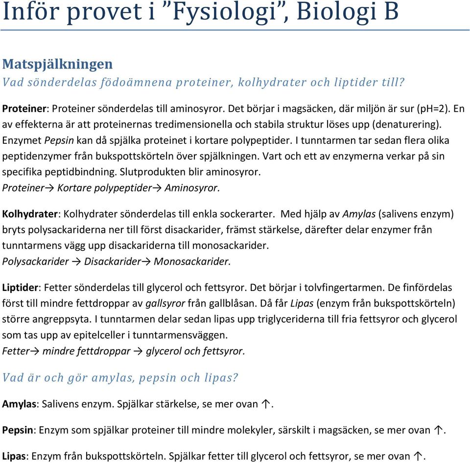 Enzymet Pepsin kan då spjälka proteinet i kortare polypeptider. I tunntarmen tar sedan flera olika peptidenzymer från bukspottskörteln över spjälkningen.